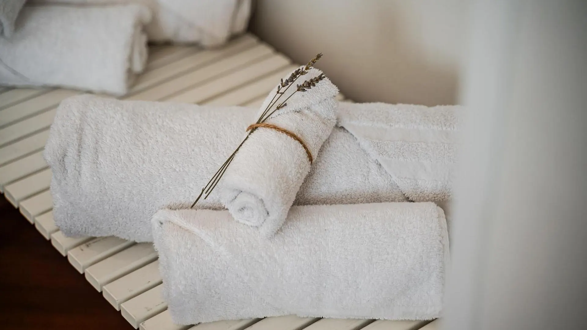 Modena Garden Retreat, 5 Min Dal Centro Con Garage Lejlighed